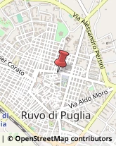 Borse - Dettaglio Ruvo di Puglia,70037Bari