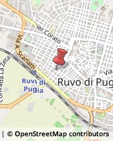 Autoscuole Ruvo di Puglia,70037Bari