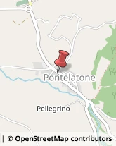 Drogherie Pontelatone,81040Caserta