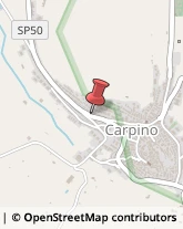 Avvocati Carpino,71010Foggia