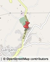 Carburanti - Produzione e Commercio Vico del Gargano,71018Foggia