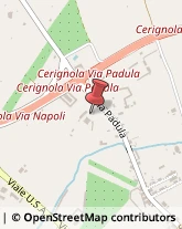 Conserve Cerignola,71042Foggia