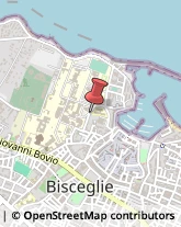 Modelli e Plastici Bisceglie,76011Barletta-Andria-Trani