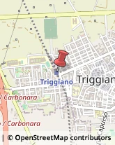 Pompe d'Iniezione per Motori Triggiano,70019Bari