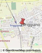 Via San Pietro, 4,70019Triggiano