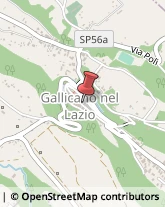 Assicurazioni Gallicano nel Lazio,00010Roma