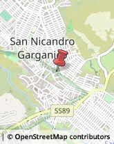 Aziende Sanitarie Locali (ASL) San Nicandro Garganico,71015Foggia