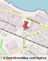 Agenti e Rappresentanti di Commercio,76125Barletta-Andria-Trani