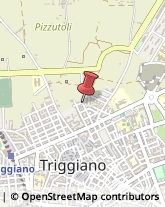 Impianti Idraulici e Termoidraulici Triggiano,70019Bari