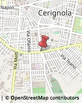 Bronzo Cerignola,71042Foggia