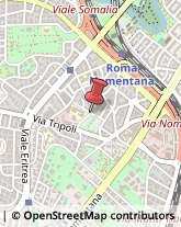 Paralumi Roma,00199Roma