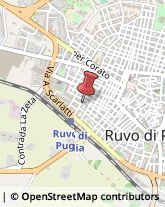 Pali - Produzione e Commercio Ruvo di Puglia,70037Bari