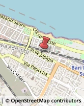 Traduttori ed Interpreti Bari,70126Bari