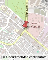 Notai Foggia,71121Foggia