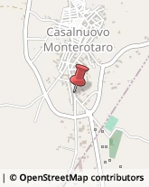 Piante e Fiori - Dettaglio Casalnuovo Monterotaro,71033Foggia