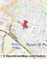 Restauratori d'Arte Ruvo di Puglia,70037Bari