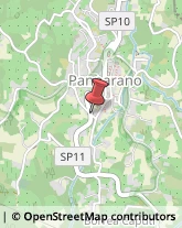 Piante e Fiori - Dettaglio Pannarano,82017Benevento