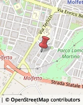 Scuole e Corsi di Lingua Molfetta,70056Bari