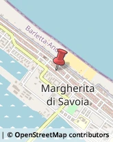 Articoli da Regalo - Dettaglio Margherita di Savoia,76016Barletta-Andria-Trani