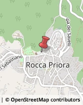 Piante e Fiori - Dettaglio Rocca Priora,00079Roma