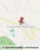 Macellerie Carpineto Romano,00032Roma