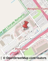 Grassi Uso Alimentare Fiumicino,00050Roma