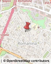 Via Raffaele Garofalo, 141,00173Roma