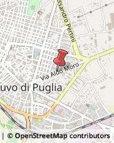 Latta Ruvo di Puglia,70037Bari