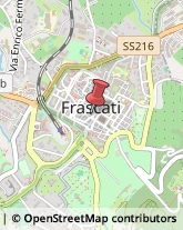 Occhiali - Produzione e Ingrosso Frascati,00044Roma