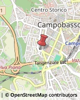 Articoli per Ortopedia Campobasso,86100Campobasso