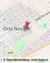 Articoli da Regalo - Dettaglio Orta Nova,71045Foggia