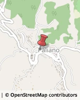 Pasticcerie - Dettaglio Paliano,03018Frosinone