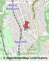 Via Appiano, 16,00136Roma