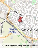 Supermercati e Grandi magazzini Ruvo di Puglia,70037Bari