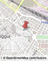 Piante e Fiori - Ingrosso Foggia,71121Foggia