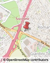 Condizionatori Aria per Autoveicoli Roma,00173Roma