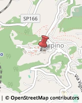 Impianti Sportivi Arpino,03033Frosinone