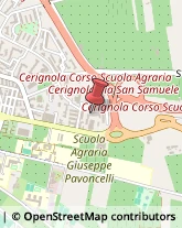 Infermieri ed Assistenza Domiciliare Cerignola,71042Foggia