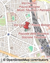 Formaggi e Latticini - Produzione Roma,00162Roma