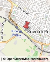 Demolizioni e Scavi Ruvo di Puglia,70037Bari