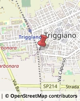 Circuiti Stampati Triggiano,70019Bari