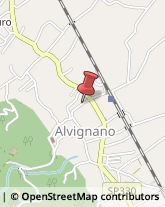 Aziende Sanitarie Locali (ASL) Alvignano,81012Caserta