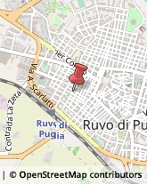 Laboratori Odontotecnici Ruvo di Puglia,70037Bari