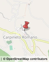 Alberghi Carpineto Romano,00032Roma