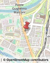 Viale Guglielmo Marconi, 459,00146Roma