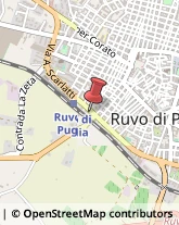 Casalinghi Ruvo di Puglia,70037Bari