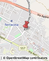 Agrumi Terracina,04019Latina