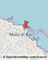 Agenzie di Animazione e Spettacolo Mola di Bari,70042Bari