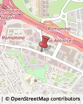 Bar, Ristoranti e Alberghi - Forniture Roma,00173Roma