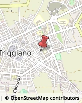 Locali, Birrerie e Pub Triggiano,70019Bari